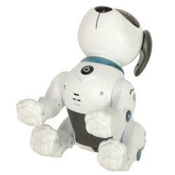 Interaktív és teljesen robotizált kutya