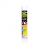 Műszerfal spray 750ml - Kókusz