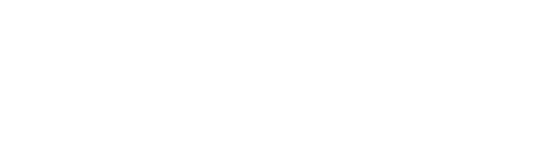 Autozulu